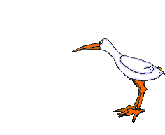 Wormdive.gif