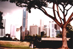 skyline.jpg (17664 bytes)